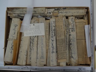 Documenti conservati nel fondo Marega