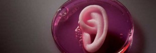 orecchio-artificiale-630x217