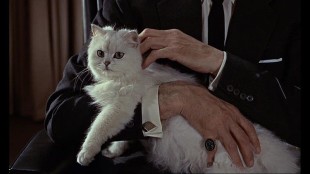 007-Dalla-Russia-con-amore-Il-gatto-di-Blofeld-della-Spectre