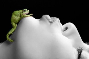 the_frog_prince_by_eugenebuzuk-580x386