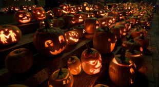 flickr-rows-of-pumpkins