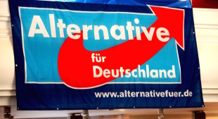 AfD, alternativa per la Germania, partito di destra euroscettico